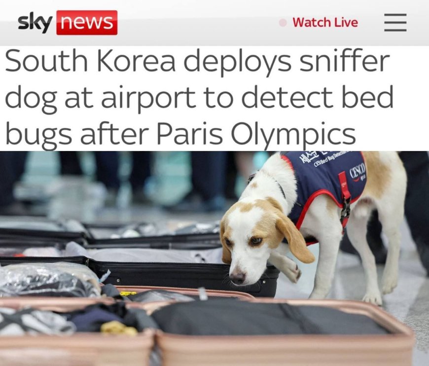 South Korea uses service dog to search for parasites in athletes after Olympics