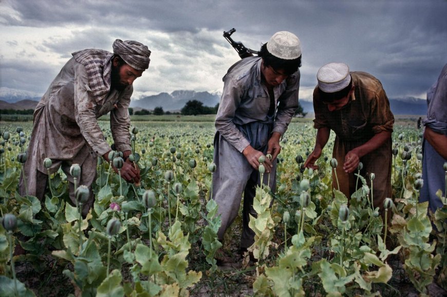 Japan plans to build 165 schools, allocate $10 million to fight drugs in Afghanistan