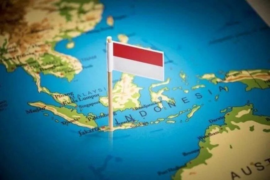 Indonesia criticises rich countries' approach to energy transition: developing countries need their own way