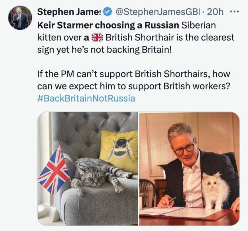 The British Prime Minister was accused of supporting Russia because of the choice of a Siberian cat