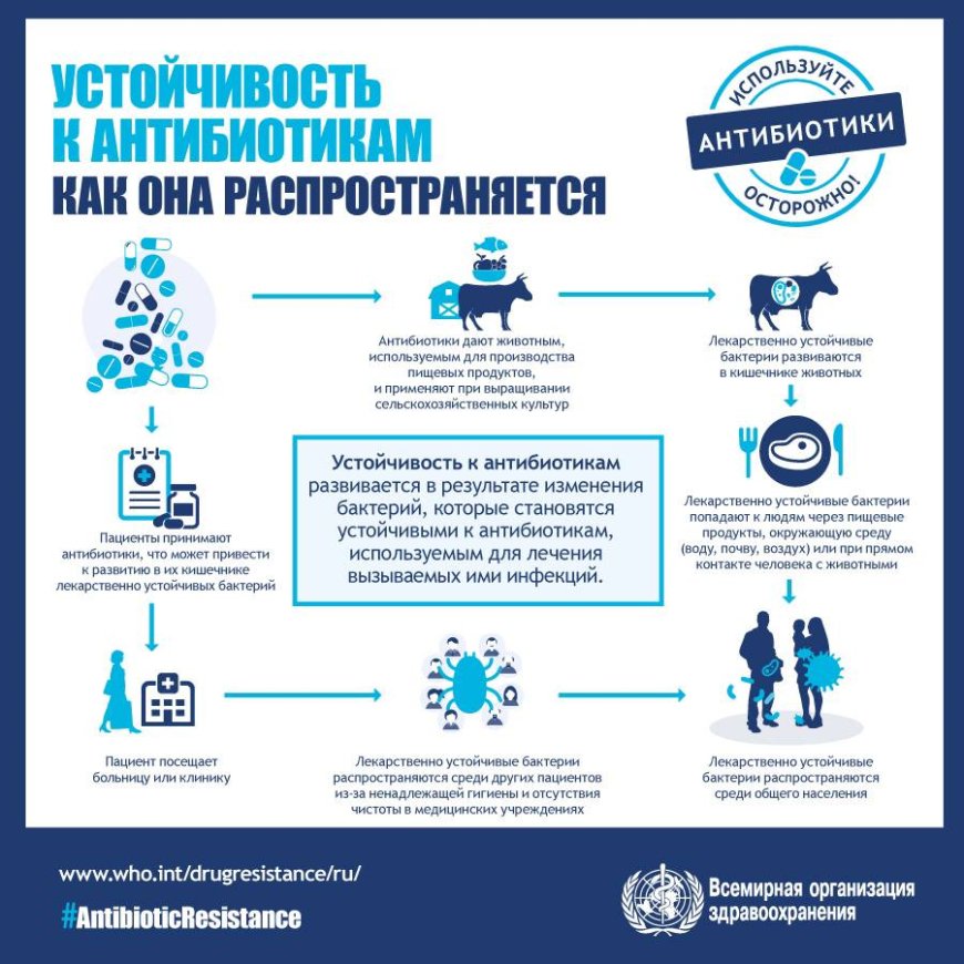 Антибиотики перестают работать: глобальная медицинская угроза