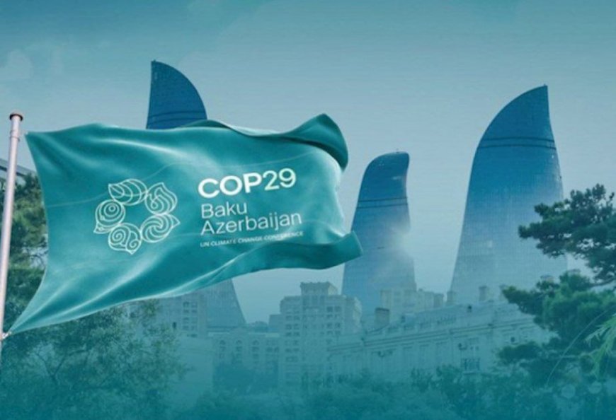 Талибан примет участие в климатической конференции COP29 в Азербайджане